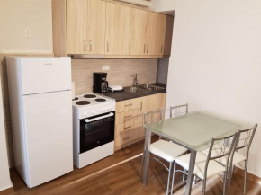 LUX & COOL APARTMENTS IN ATHENS - PSIRi, Athen